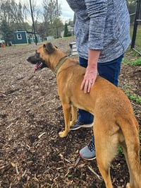 Bonnie (Courtesy Post) - Photo 1