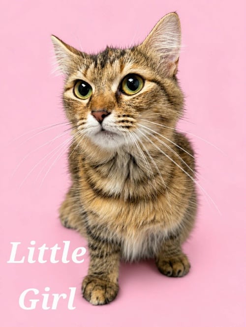 LITTLE GIRL