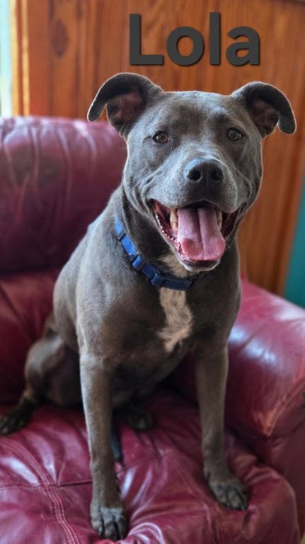 Tiana (Lola) Image