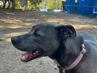 Tiana (Lola) - Photo 4