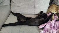Wink - Photo 4