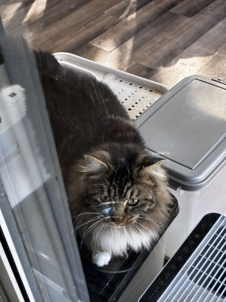 LumiÃ¨re - Photo 3