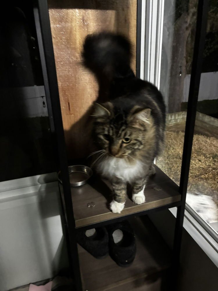 LumiÃ¨re - Photo 4