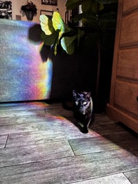 Galaxy - Photo 1