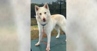 Kida - Photo 1
