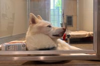 Kida - Photo 4