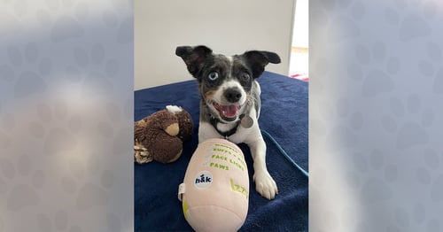 OREO
