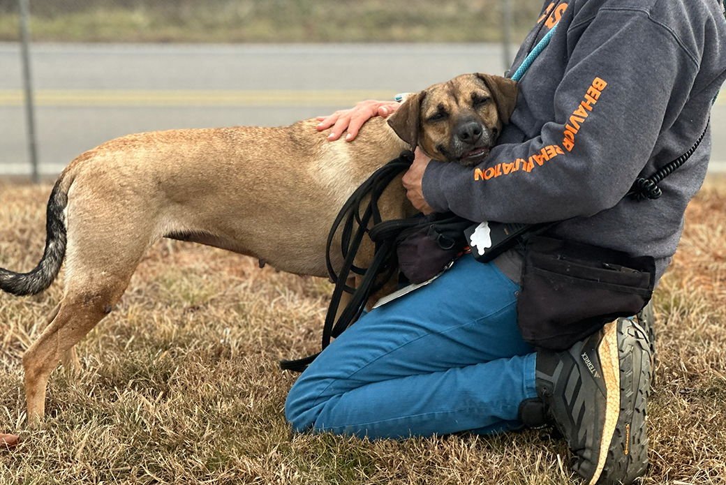 CEREAL - Unknown available for adoption