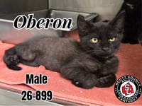 Oberon - Photo 1