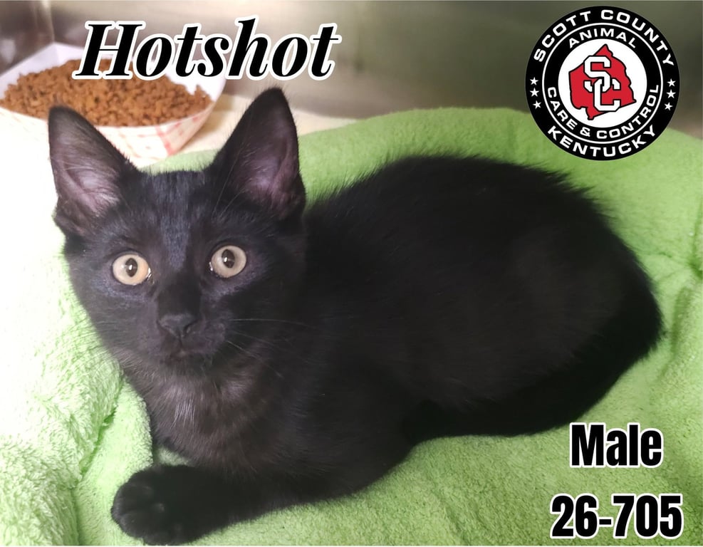 Hotshot Image
