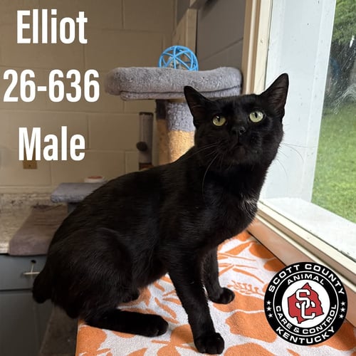 ELLIOT