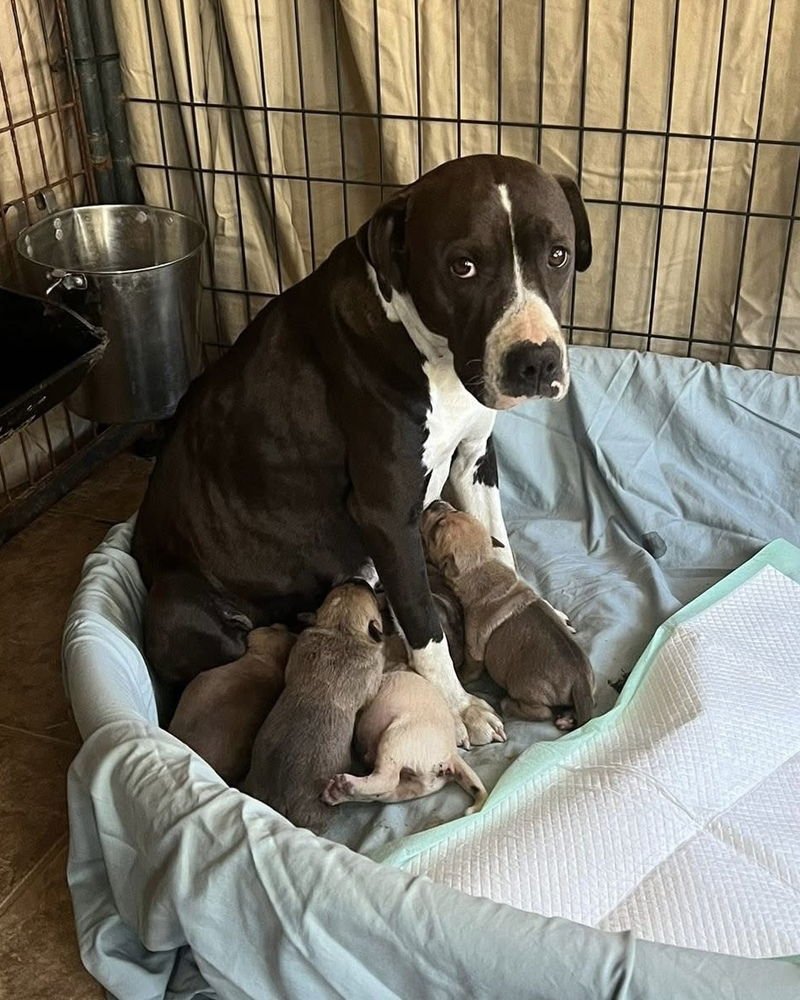 Norma (mama) - Photo 3