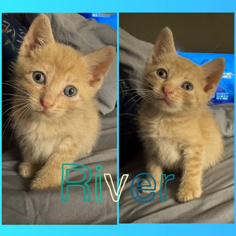 River Image