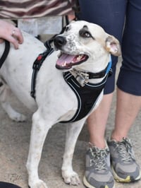 Eddie - Photo 2