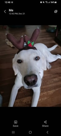 Piper (Valley) - Photo 4