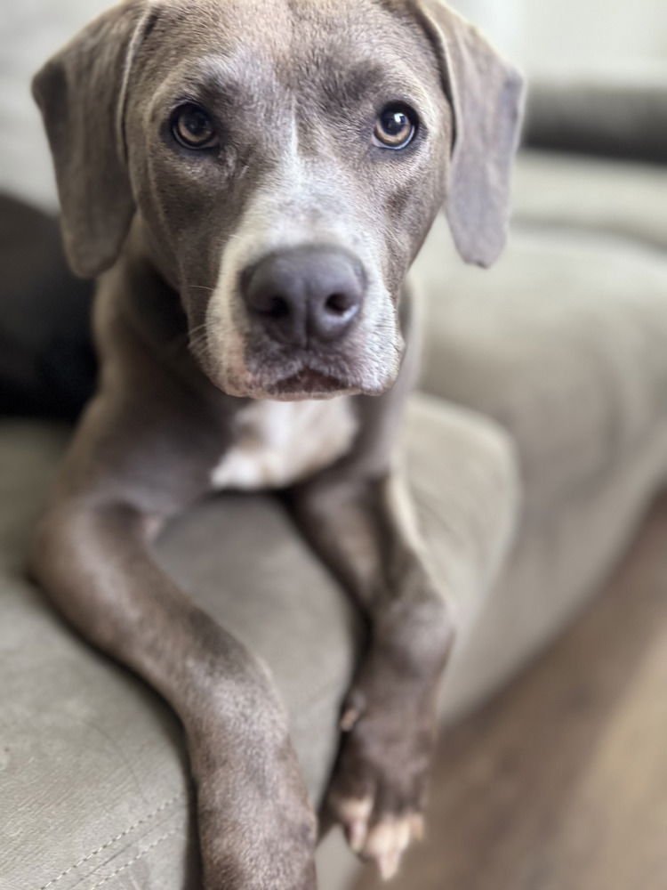 Daisy the Delightful - Photo 3