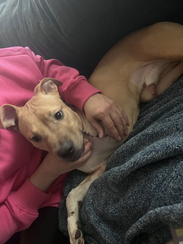 Clover (ACC) - Photo 3