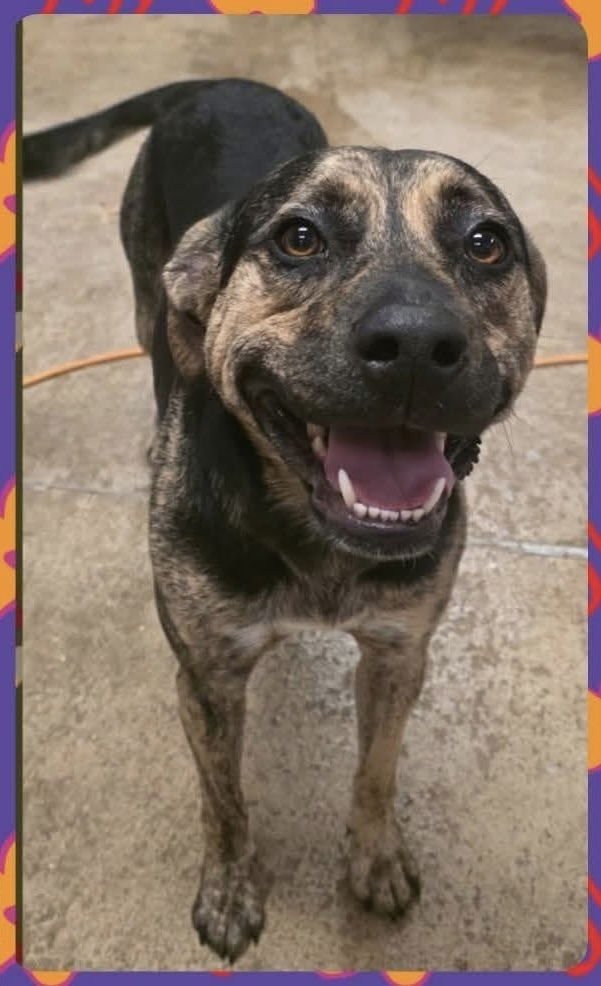 Bootsie the Beautiful - Photo 3