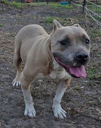 Hope (SC) - Photo 3