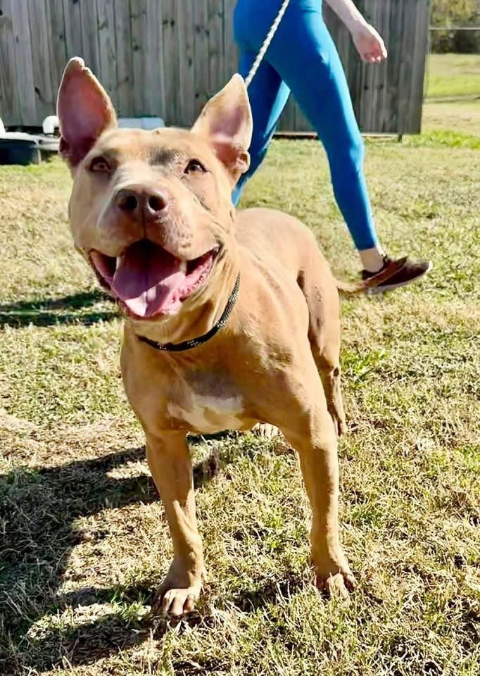 Emily the Effervescent - Photo 3