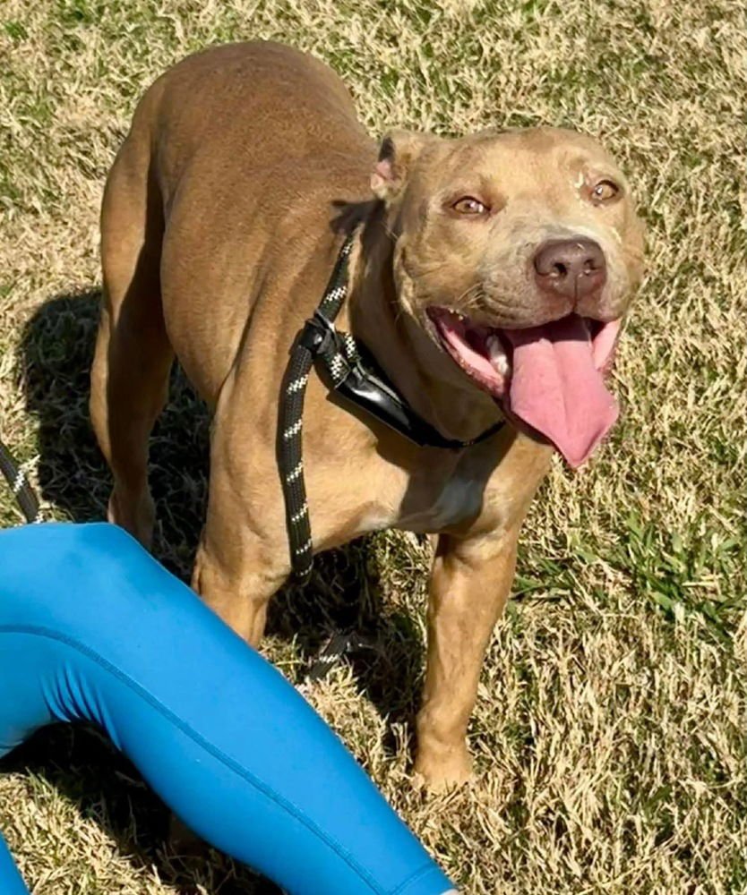 Emily the Effervescent - Photo 4