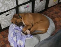 Star - Photo 3