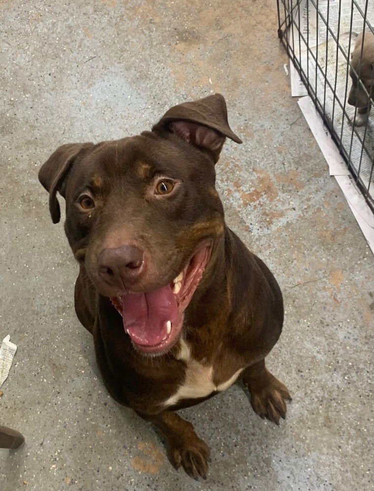 Spike (from GA) - Photo 3