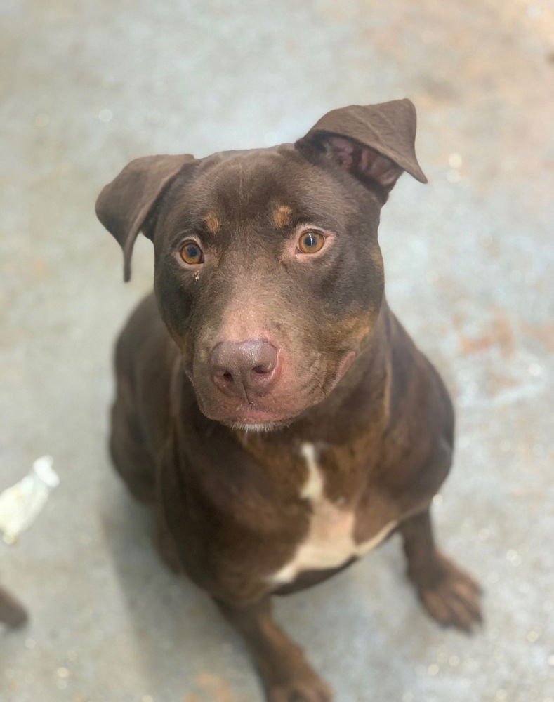 Spike (from GA) - Photo 4