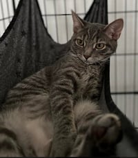 Sophie - Photo 4