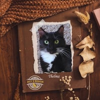 Thelma - Photo 1
