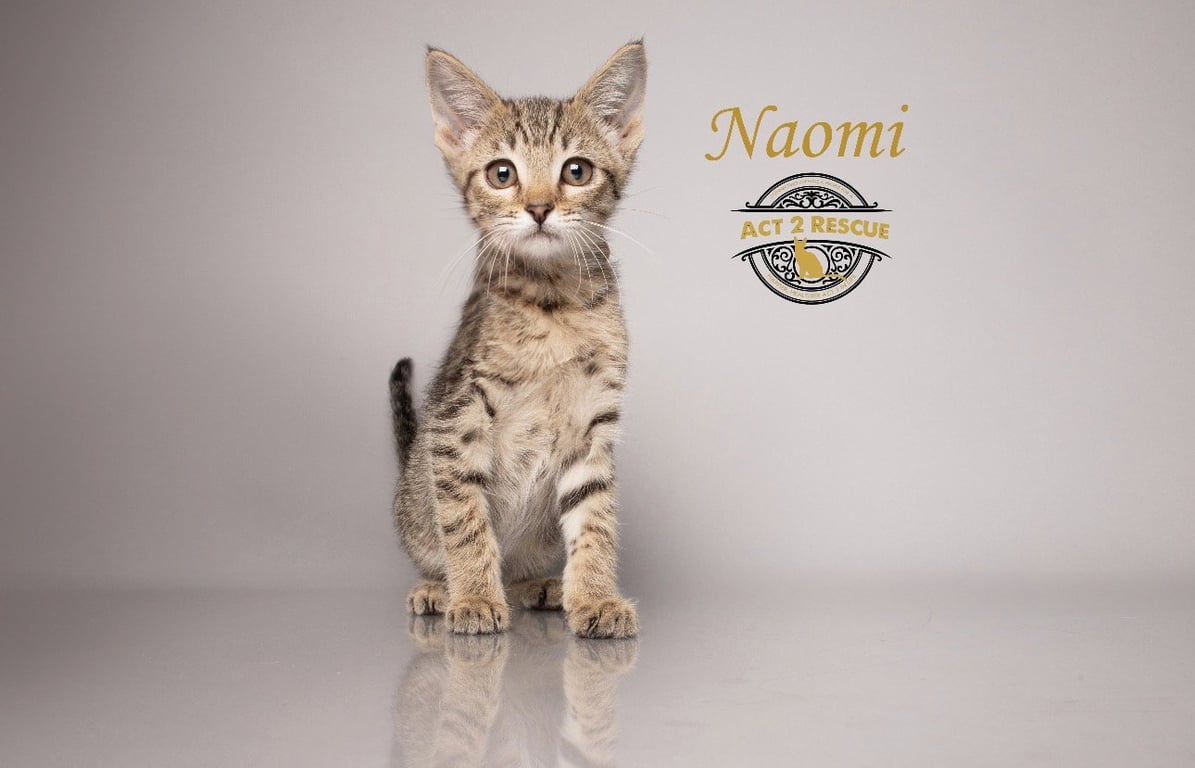 Naomi Image
