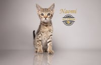 Naomi - Photo 1