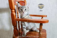 Juno - Photo 4