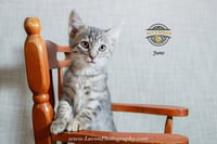 Juno - Photo 3