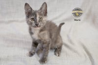 Marie 2 - Photo 4