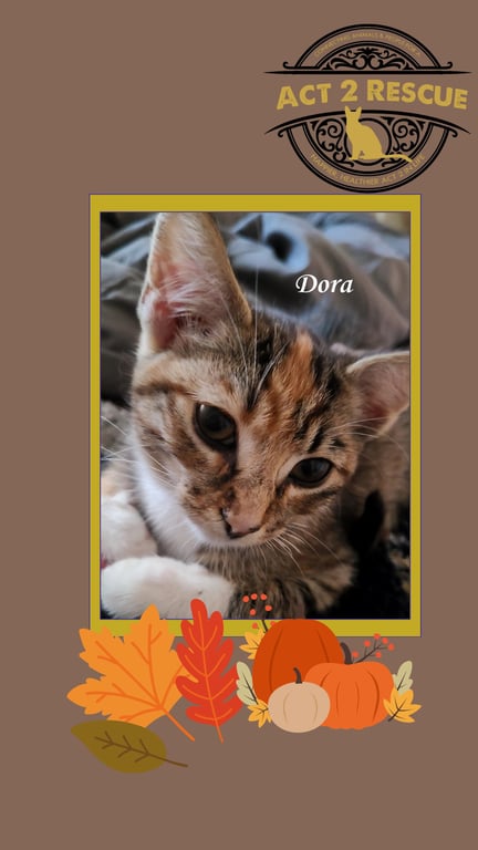 Dora Image
