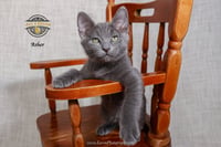 Asher 3 - Photo 3