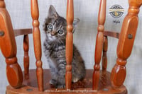 Nyla - Photo 5