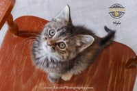 Nyla - Photo 4