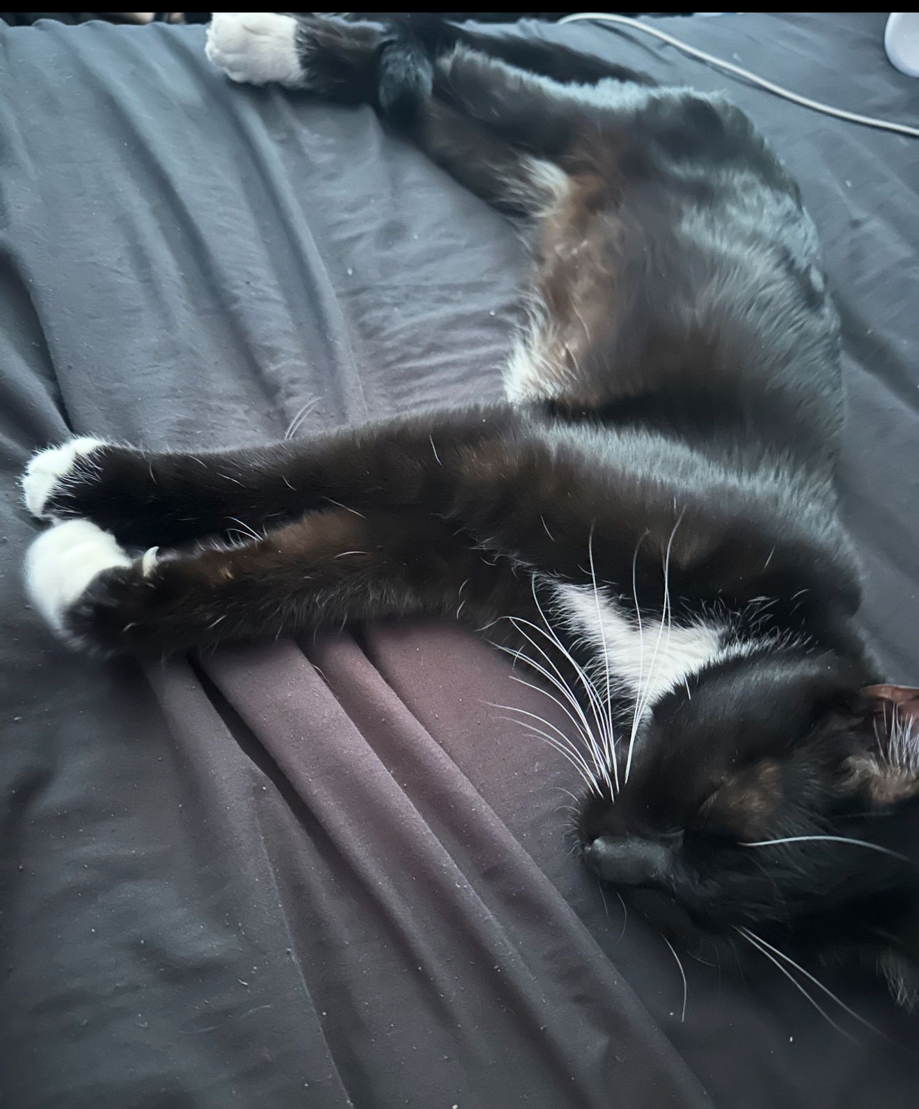 Wednesday 2 - Photo 3