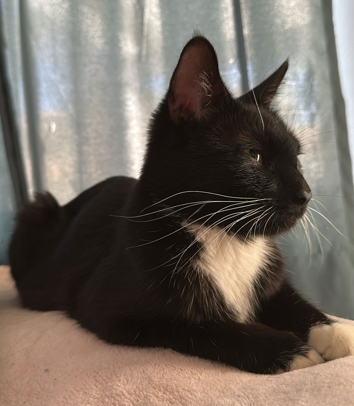 Wednesday 2 - Photo 4