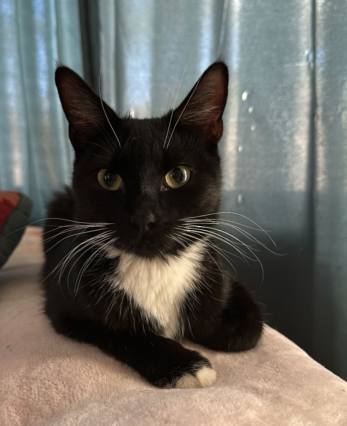 Wednesday 2 - Photo 5