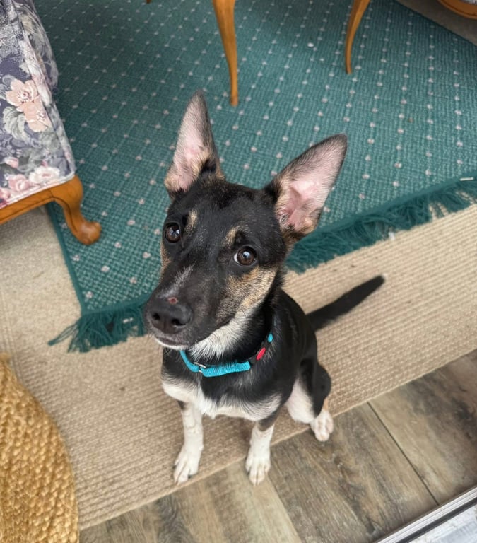 Missy Image