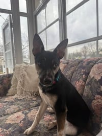 Missy - Photo 3