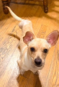 Calvin - Photo 2