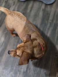 Sophie - Photo 3