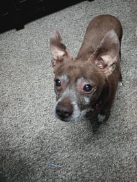 Butch - Photo 3