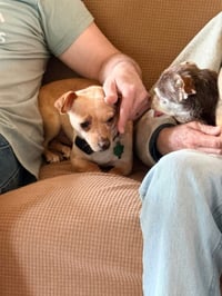 Sadie - Photo 4