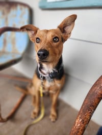 Tootie - Photo 1