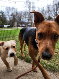 Tootie - Photo 2